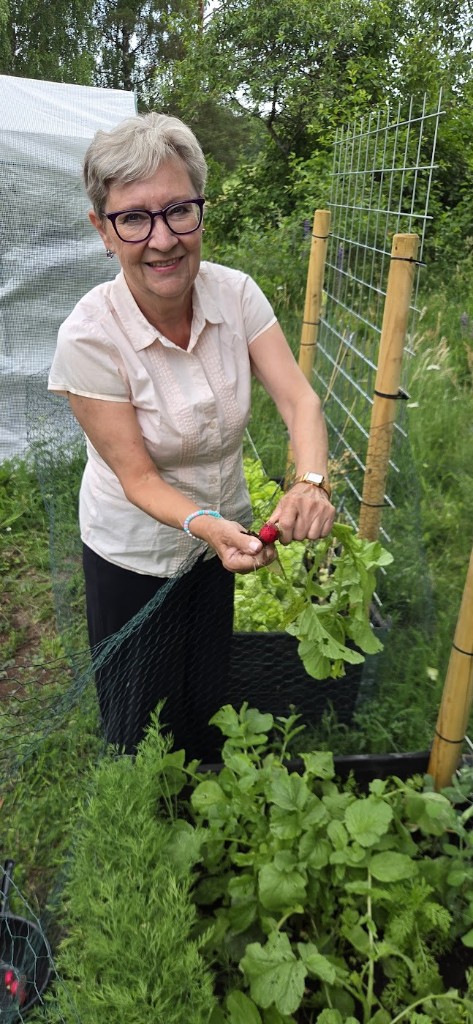 Farmor Carina skördar rädisor